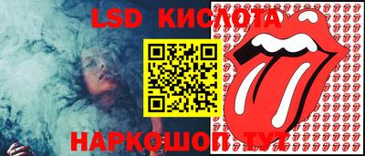 шишки Сланцы