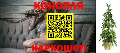 шишки Сланцы