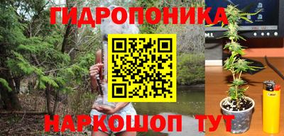 спайс Славгород