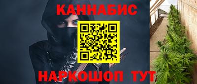 шишки Сланцы
