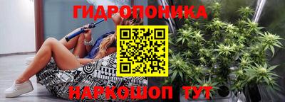 шишки Сланцы