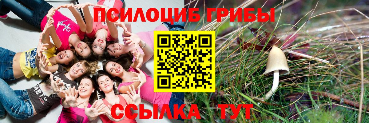 Канабис  КОКАИН  Меф МЯУ МЯУ кристаллы  ЭКСТАЗИ  Вход с VPN  Осинники  ГАШ 