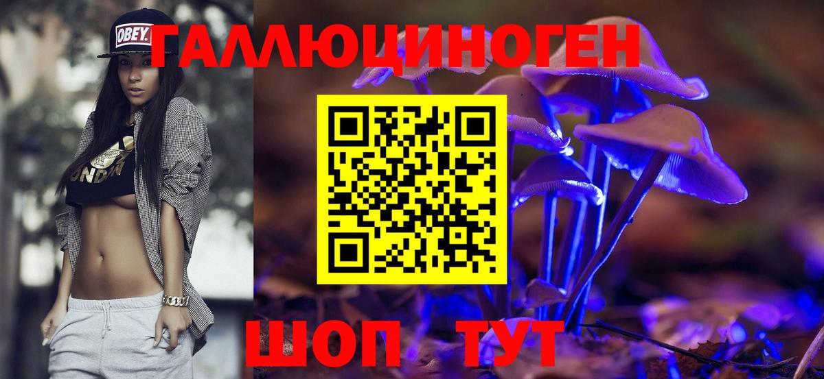 Псилоцибиновые грибы мицелий Осинники