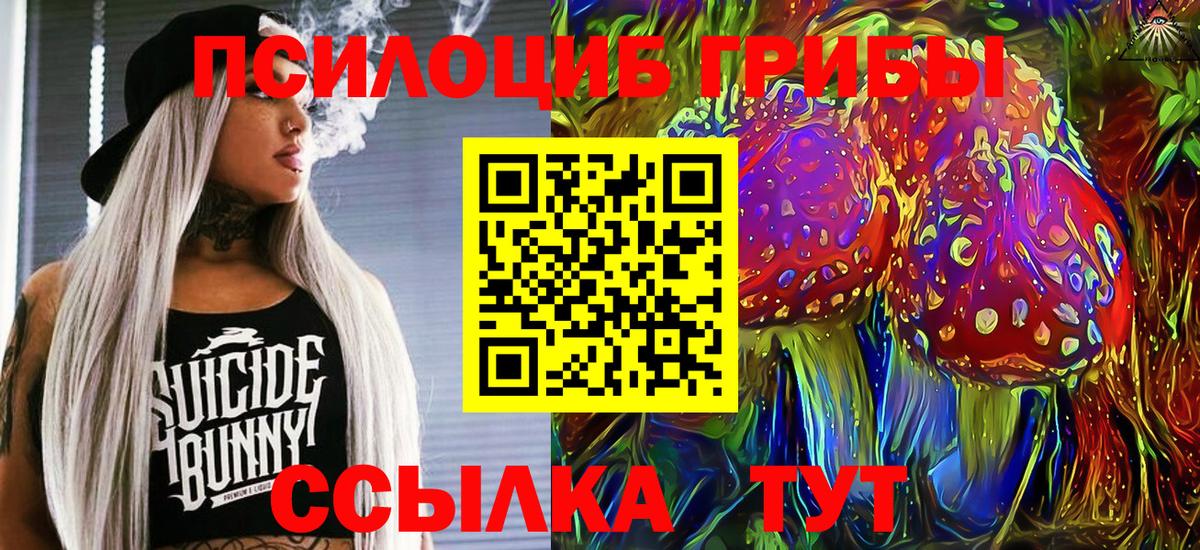 Осинники  Псилоцибиновые грибы Psilocybine cubensis  Вход с VPN 